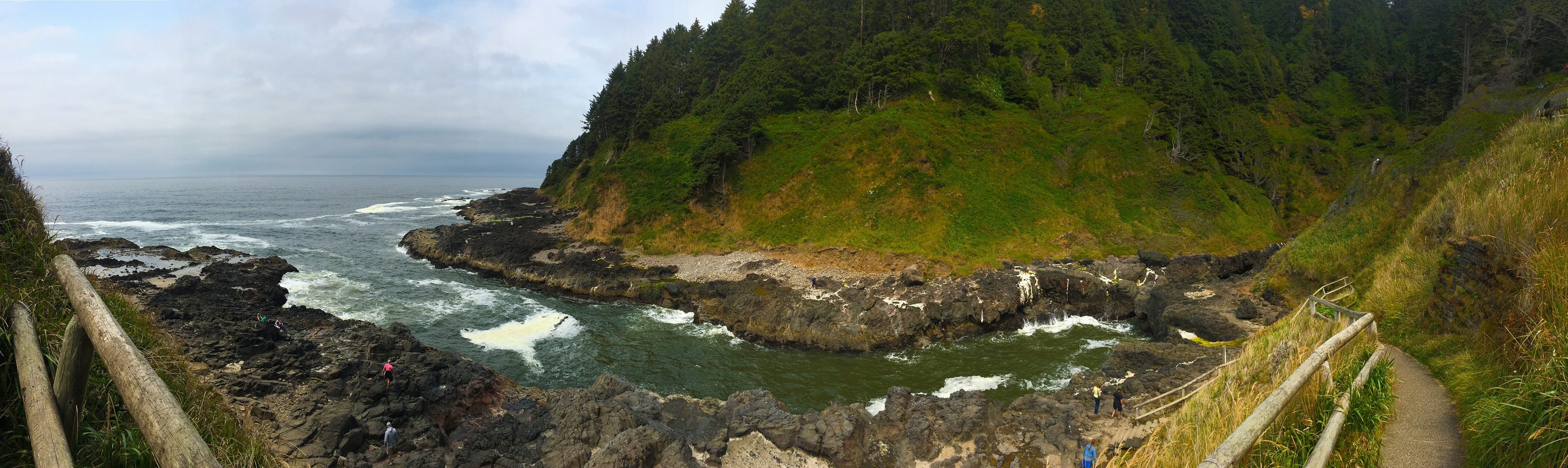 Stopped for a hike along the Oregon Coast Highway. Not too far of a drive from our camp in Newport. Plenty of tide pools to explore.