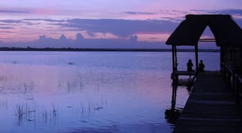 Sunrise over the Laguna of 7 colors

#adventure
#mexico #sunrise #pueblomagico #overlanding #panamerican