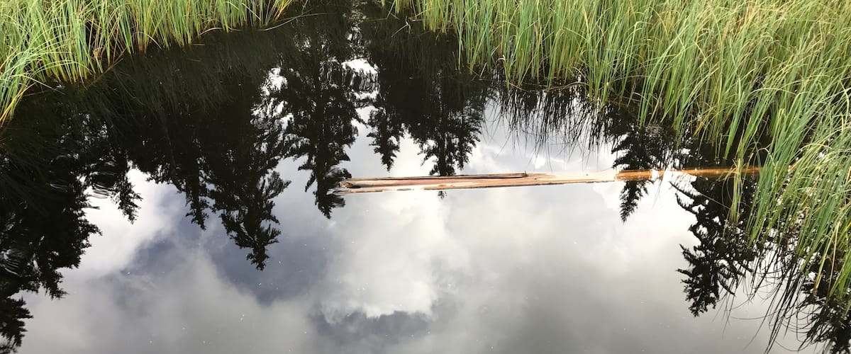 Which side up? Amazing reflections in Switzerland even on a cloudy day.