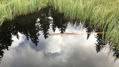 Which side up? Amazing reflections in Switzerland even on a cloudy day.