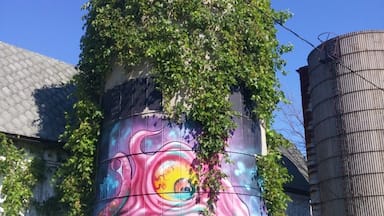 Cool street art on an abandoned silo along U.S. 12 near Round Lake Highway.