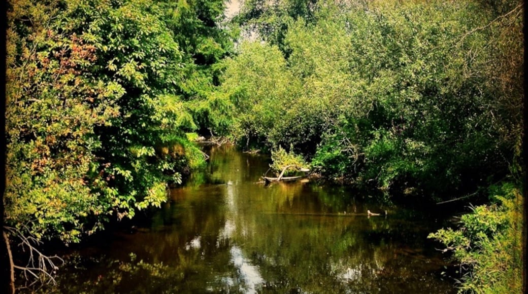 Foto por Quintin Doroquez