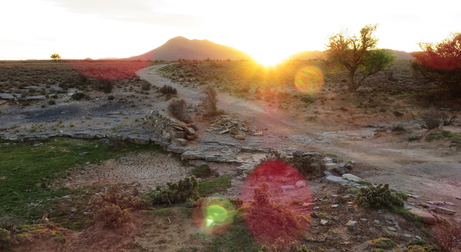 View on farm of sunset