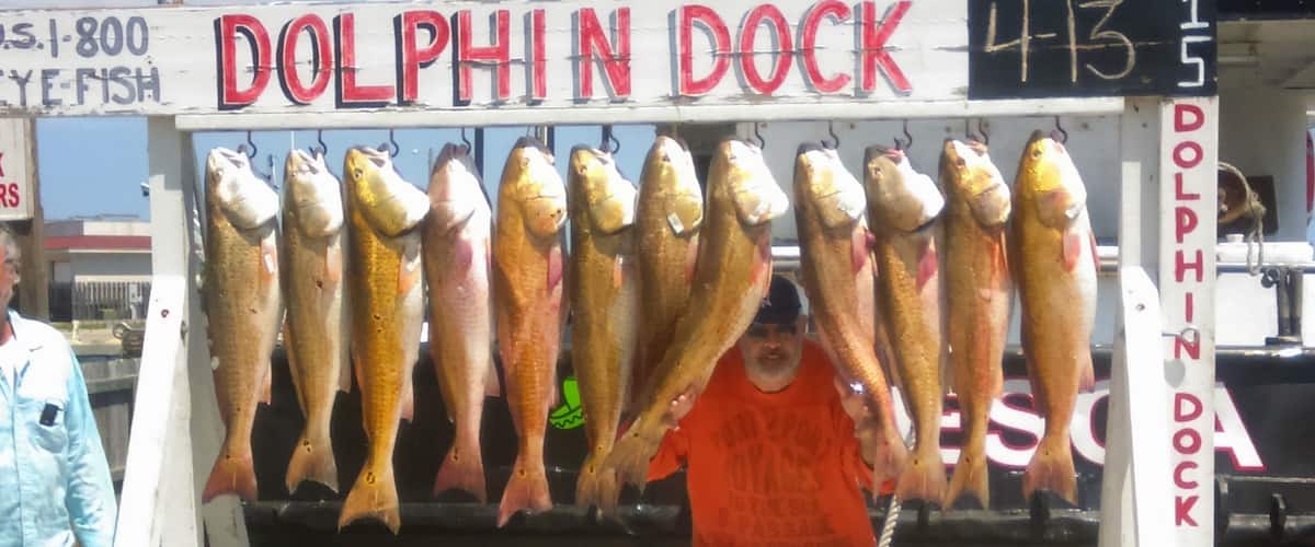 Very successful fishing trip! #BeachBound