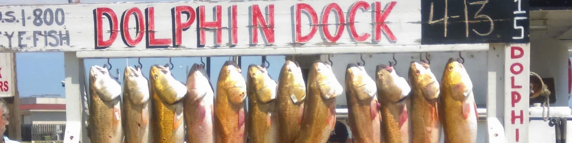 Very successful fishing trip! #BeachBound