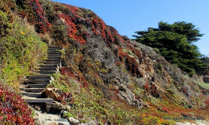 Somewhere along Hwy 1 between Stewart's Point and Bodega bay...

Just Go drive....you will find it, and a lot of other beautiful spots