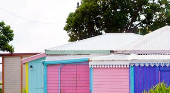 Some colorful bungalows on the drive around St Martin... or is it Saint Marteen ? Depends on if your French or Dutch I think.