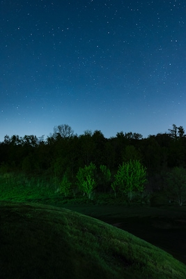 Night sky