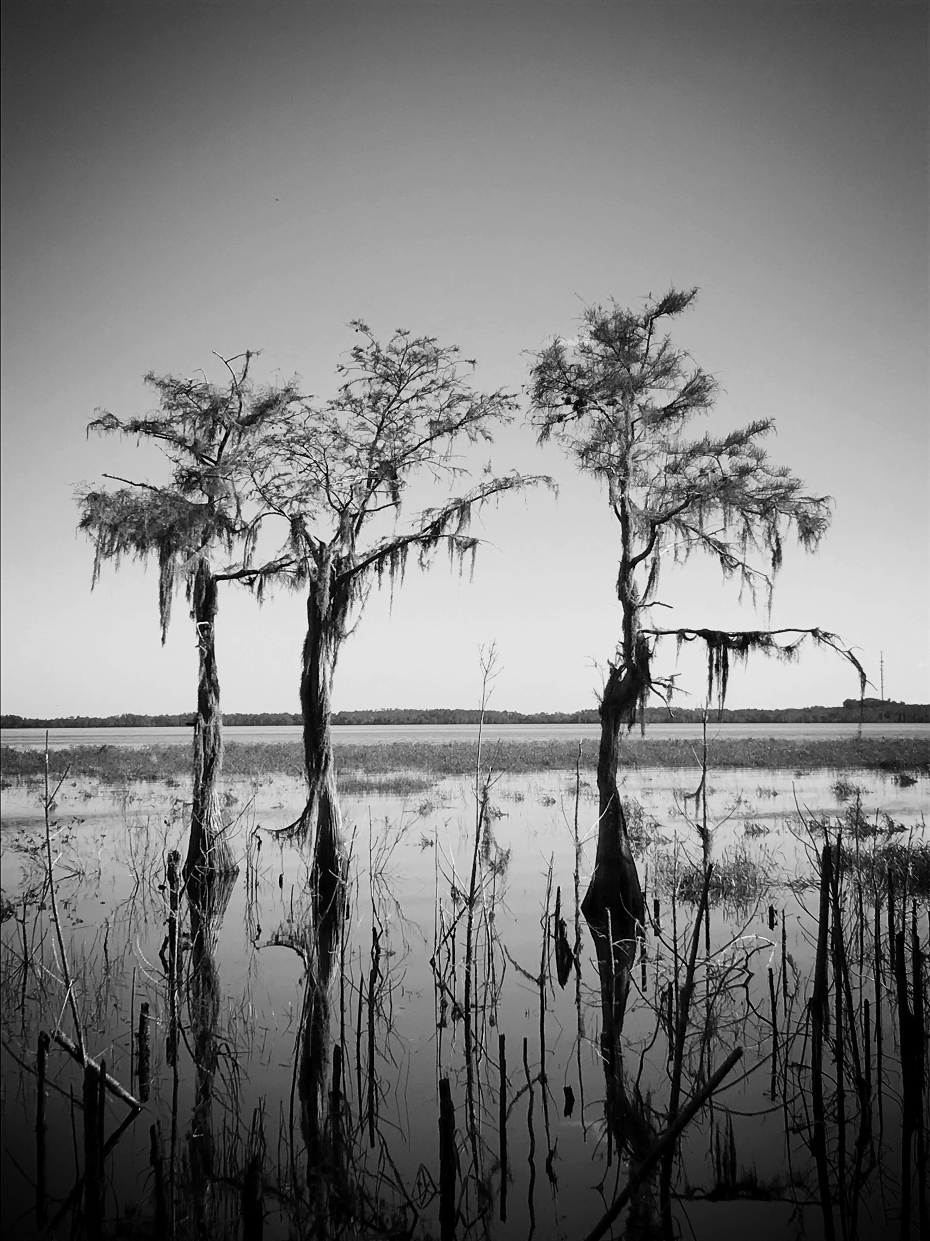 Lake Louisa State Park In Clermont - Tours And Activities | Expedia