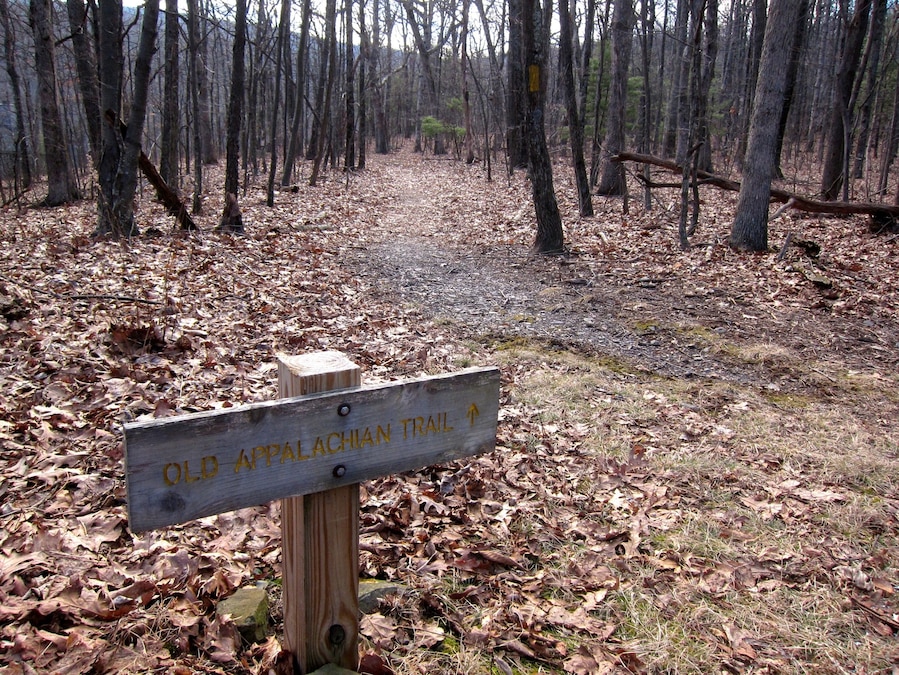 You can pick up the new and old Appalachian Trails near Wintergreen. We had a lovely walk even on a cold winter day.