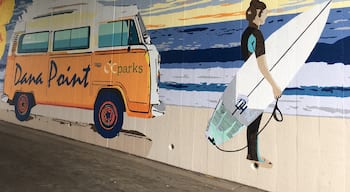 Great mural by local high school students perfectly visualise what this beach is all about. And for a big audience as well: 

“Each year, about 7 million people pass through the tunnel to the beach.“

Maybe not so secret..

https://www.ocregister.com/2018/03/27/new-mural-with-mystery-surfer-girl-replaces-30-year-old-painting-at-salt-creek-beach-tunnel/
