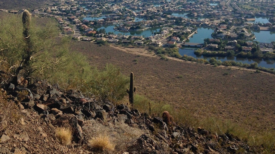 Parque de conservación Thunderbird