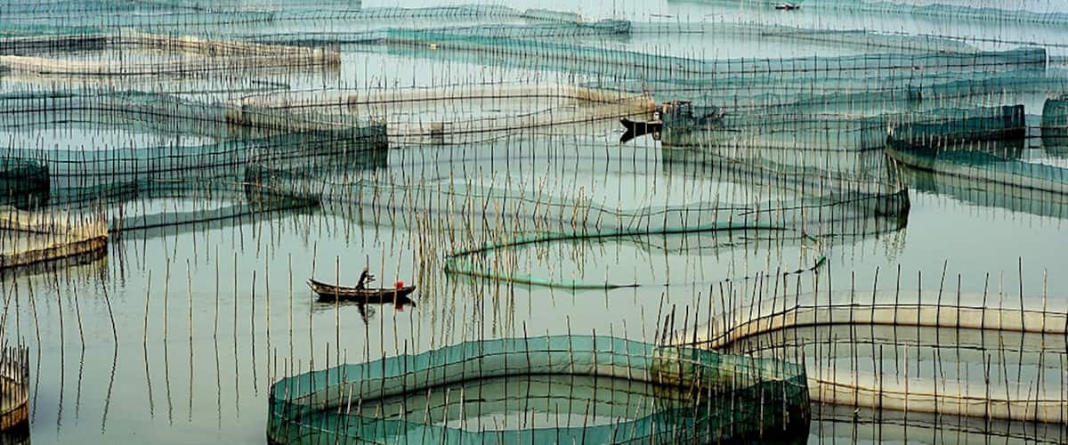 Amazing #Xiapu Mudflat in Fujian.
霞浦
https://twitter.com/Beautifulgx