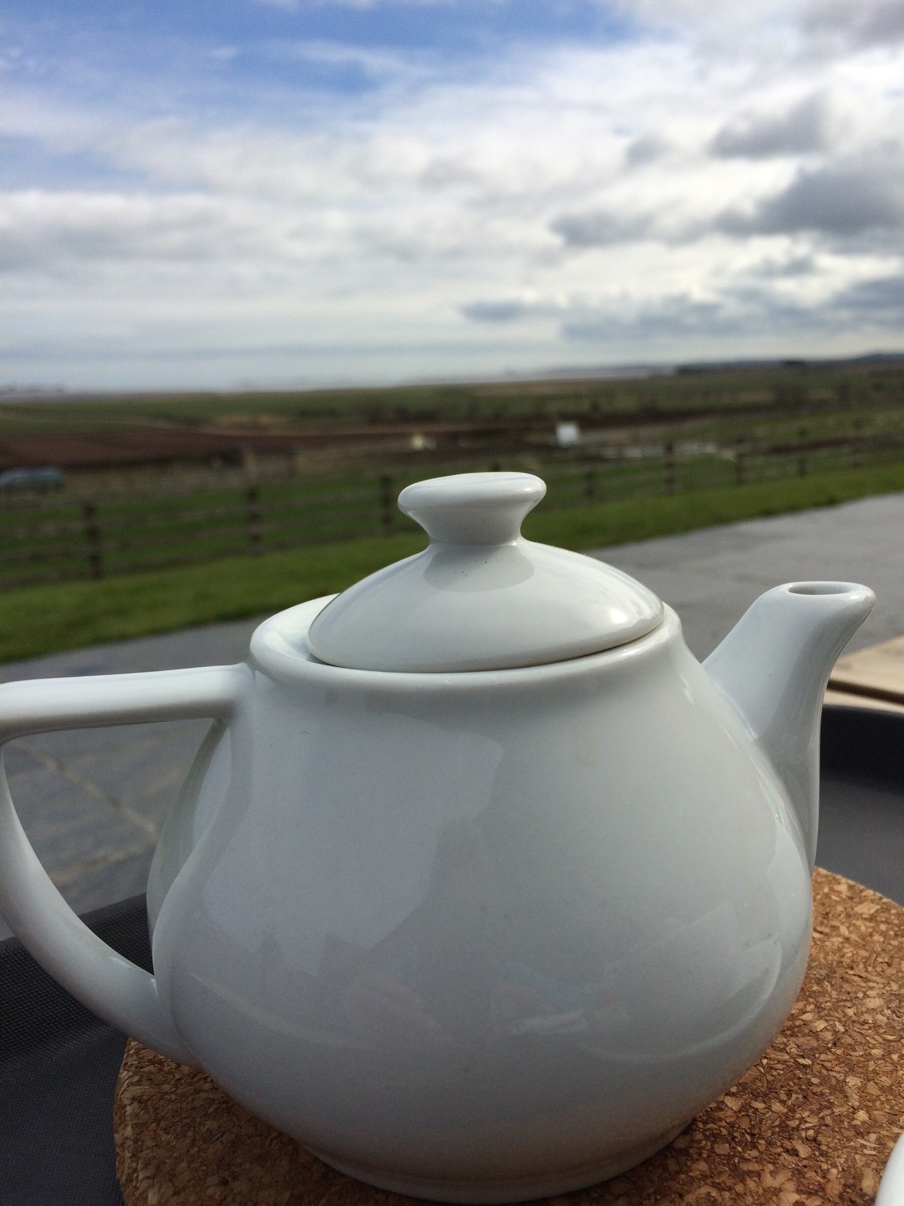 Photo by Angela Newlands