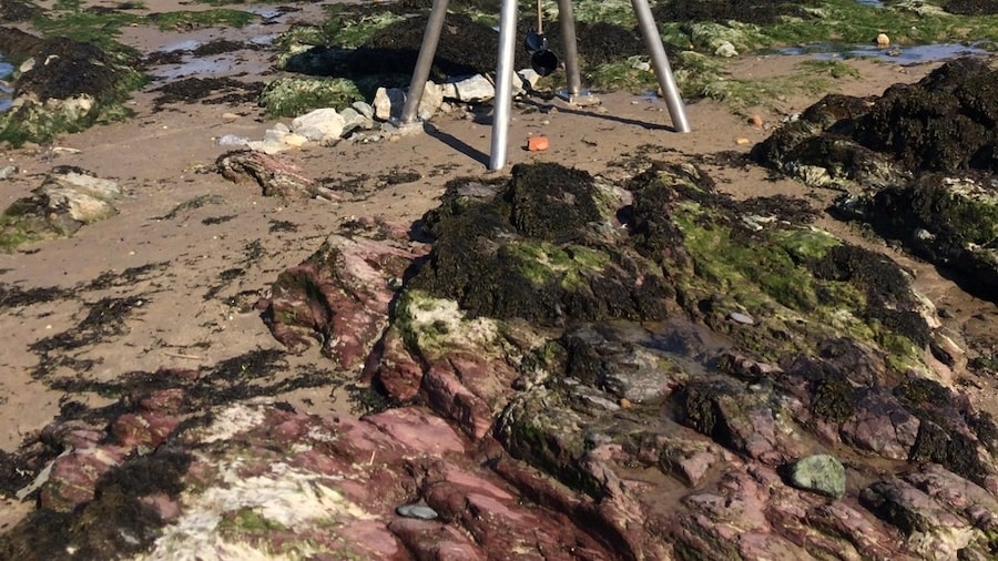 Traeth Mawr