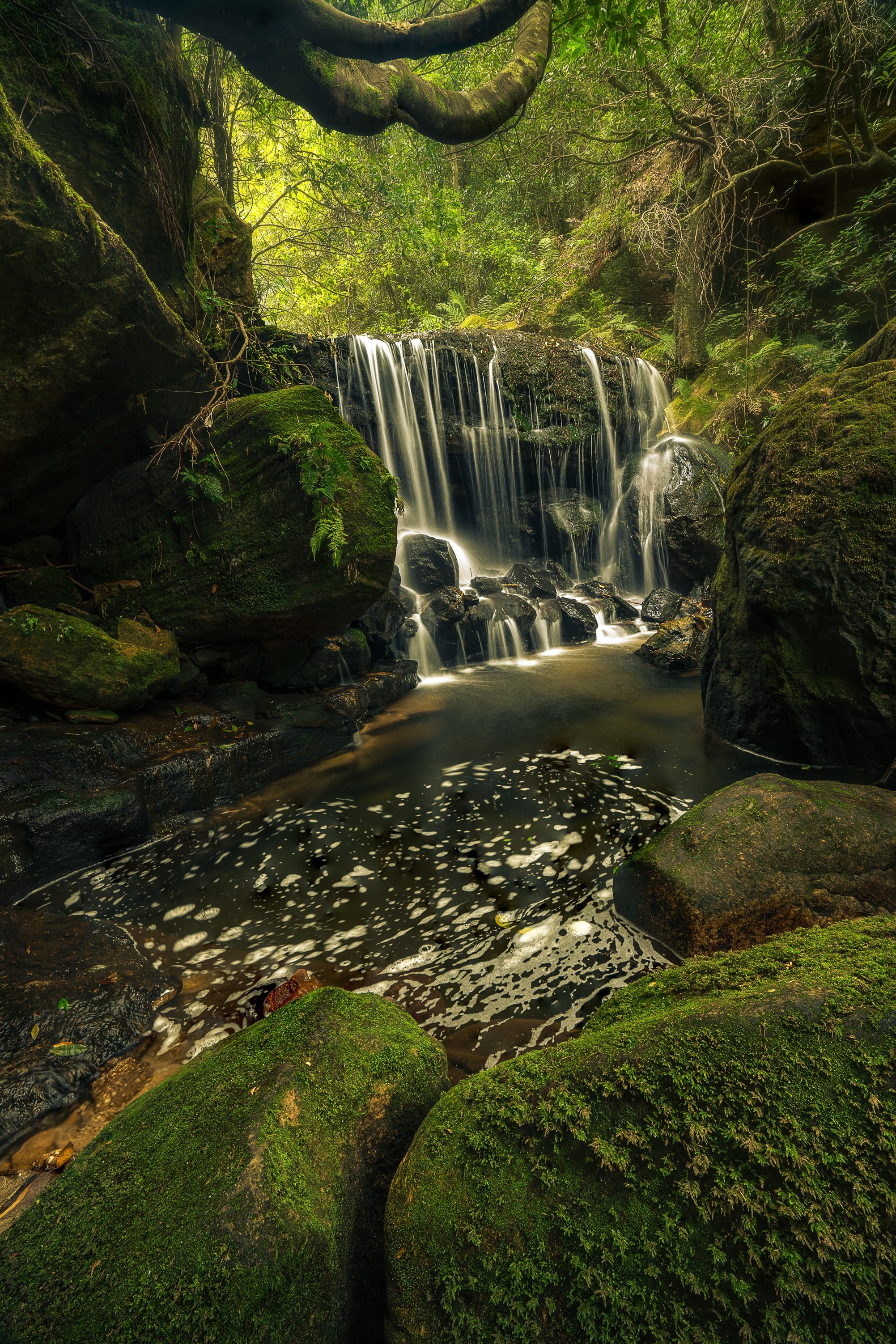 Weeping Rock falls sits just a few metres below the main waterfall at Leura however is usually looked over as the walking track veers in the other direction. Makes for a very quiet and isolated spot on an otherwise very popular walk in the Blue Mountains. #nature  #localsecrets