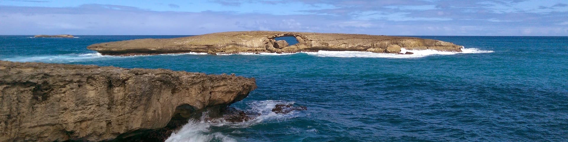 Laniloa The Mo'o!