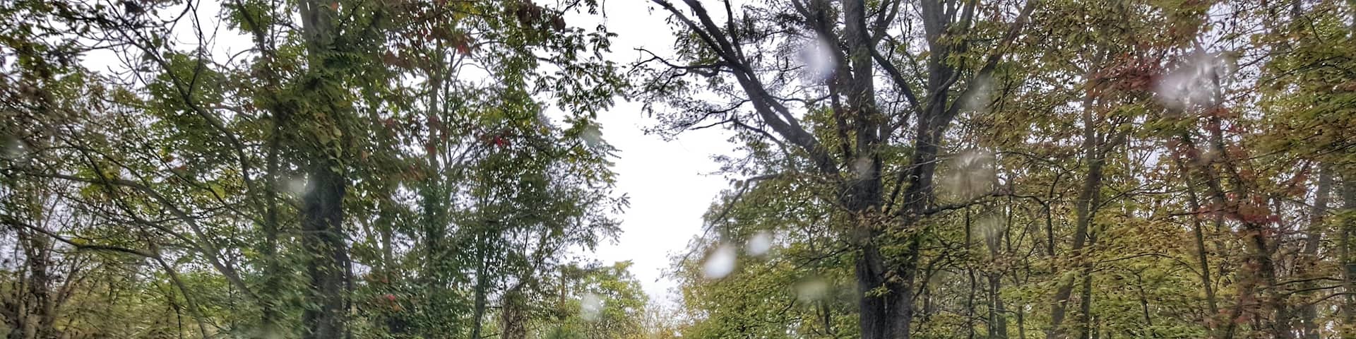 Country road