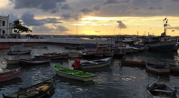 Sunset in Bahia, Brazil.

@waterlust
#troveron
#goldenhour