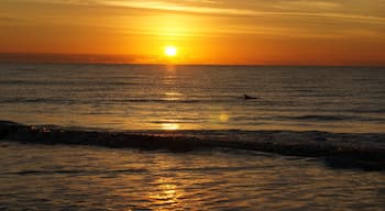 Beautiful sunrise with a dolphin popping up to say hi.