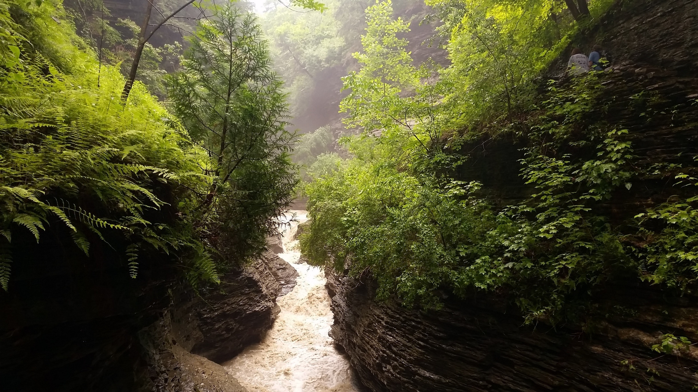 Watkins Glen International, Watkins Glen Vacation Rentals house