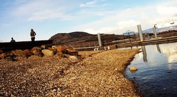 A little walk around the lake. #westkelowna #lakeside 