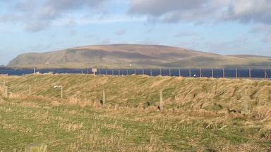 Shetland in the spring. #shetland #scotland
#green