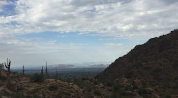 Exploring all that Phoenix has to offer on a rare day off as an intern #adventure
