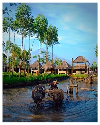 For travelers who want to take in the sights and sounds of Garut, Mulih Ka Desa Hotel is the perfect choice. From here, guests can enjoy easy access to all that the lively city has to offer. The hotel offers an excellent variety of recreational facilities, including children's playground, fishing. Mulih Ka Desa Hotel is your one-stop destination for quality hotel accommodations in Garut. We enjoyed our stay here.