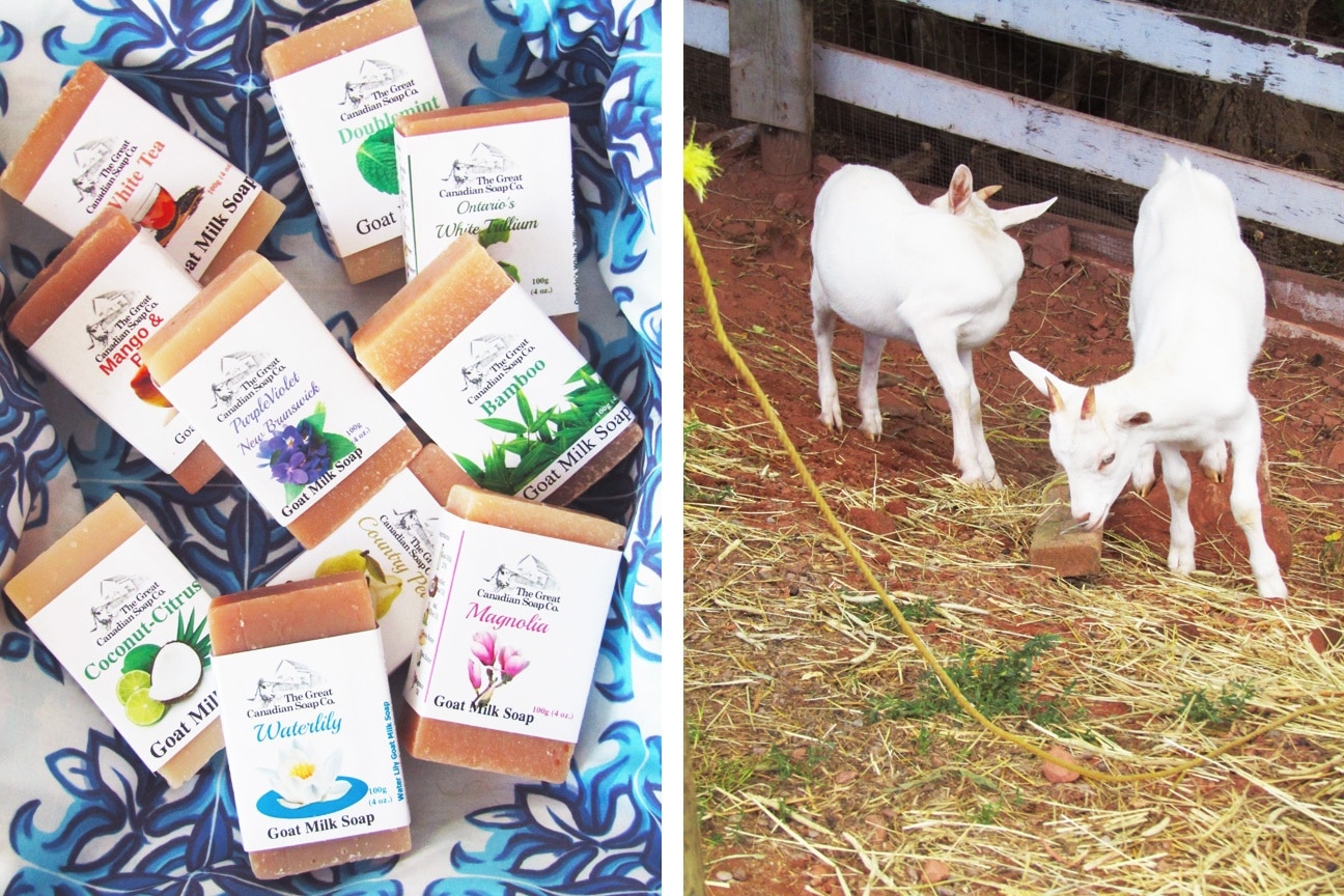 Soap, ice cream, and baby goats roaming the property - what's not to like?