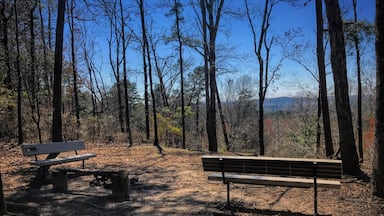 this is the jordan mountain overlook at driskill mountain where it is the highest natural summit in Bienville Parish, Louisiana, with an elevation of 535 feet above sea level. 