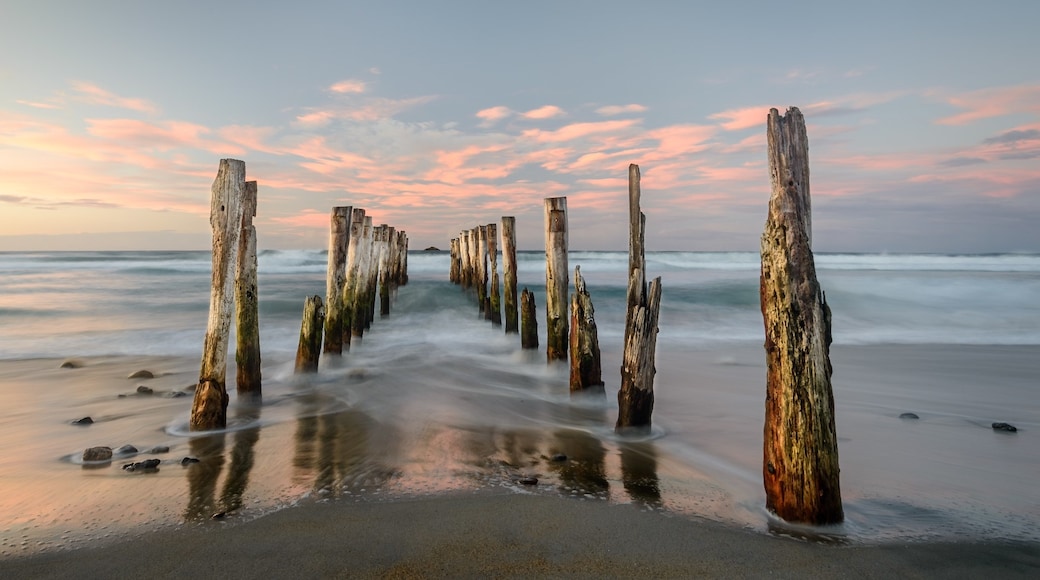 St. Clair Beach, Dunedin, Otago, New Zealand