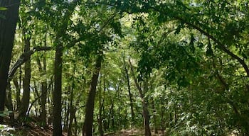 A great place to spend an hour or so in Providence. Lots of trails and right on the water. Bonus: the houses nearby are beautiful and worth walking by. 