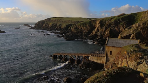 Photo by Malcolm Rackliff