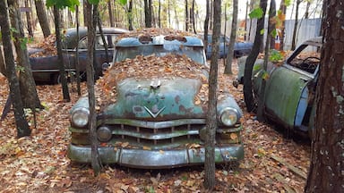 Old Car City in White, Georgia contains the world's largest known classic car junkyard.  Old Car City started as a Car Dealership in 1931. 

