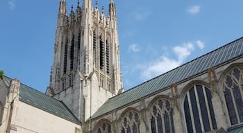 Beautiful cathedral that offers tours.