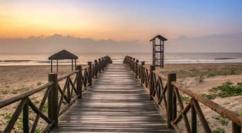 The beach of grussaí is in São João da Barra, 4 hours from the center of Rio, a place known for its beautiful beaches and the ruins of Atafona, where we find several houses being swallowed by the sea.