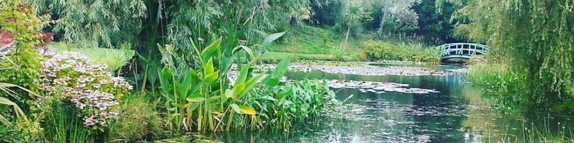 Beautiful place with lots of massive ponds.