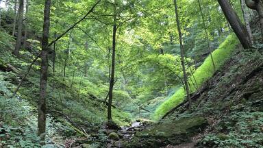 Sometimes an #Adventure is a conscious decision to let yourself find the depth of the places around you. On a hike, this spot blocked out all the noise and reminded us that you can see a lot further than you realize with a little calm and focus.