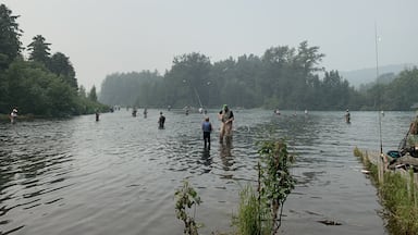 Russian River fishing. The smoky sky  is from a forest fire nearby. Limit of 9 salmon  a day per person. 
07/06/19