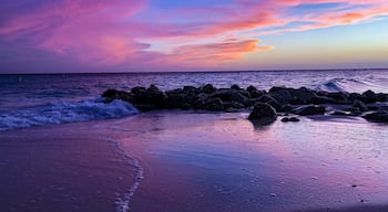 An Oranjestad sunset at its finest. Home to the third best beach in the world, Eagle Beach.