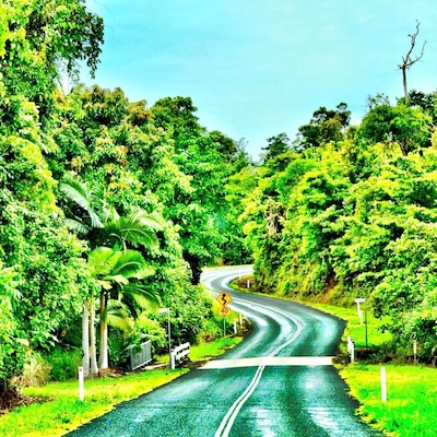 Somewhere in the middle of Cairns and Mission Beach. Australia.