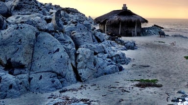 The stone sleeping cabin.  Spectacular  place to cozy up for a night on the beach.  Complete with wood for bonfire, solar power, stove for AM coffee, and waves crashing at your door.  A most hidden gem, off the grid.  About $150/night. 