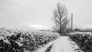 Missing the snow at the moment! This was taken a couple of weeks before Christmas, just 100 yards from my front door. With the weather still this cold I wish we’d have a little more snowfall!

#bvsquad #bvstrove #ruthin #rhuthun #llanychan #denbighshire #valeofclwyd #snow #snowfall #coldweather #snowwytree #hedgerow #welshphotographer #welshphotoggraphy #d7100 #nikon #nikonuk #nikoneurope #wales #northwales #llandyrnog #ruralwales