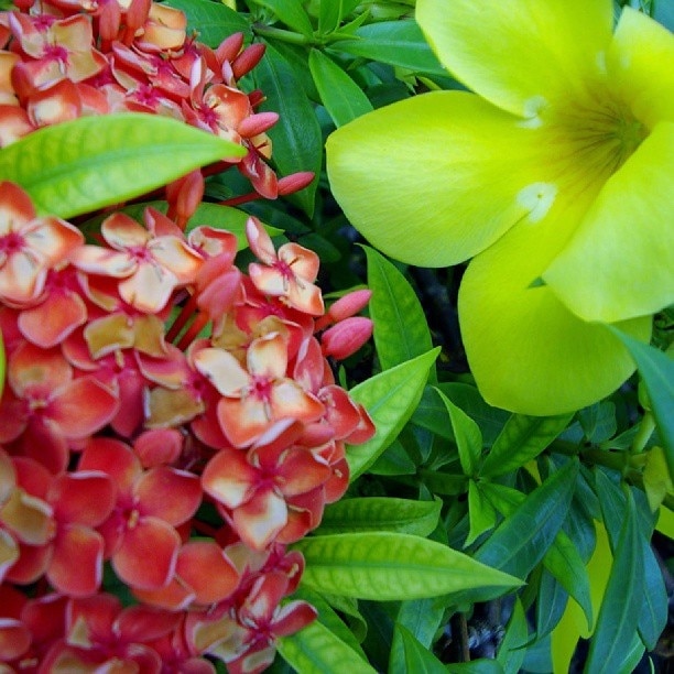 Kennesaw, GA Vacation Rentals house rentals & more Vrbo