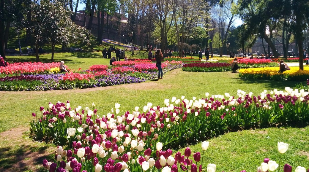 สวน Gulhane, อิสตันบูล, Istanbul, ตุรเคีย
