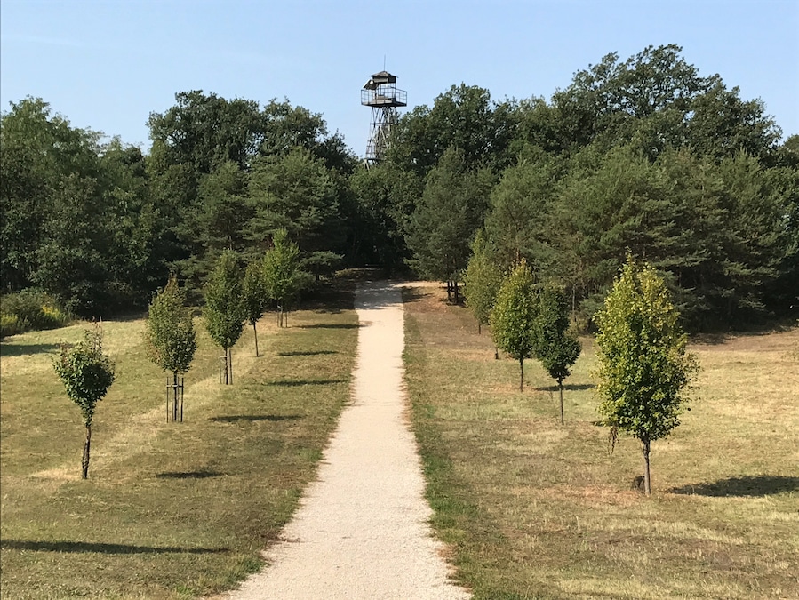 Area of the Pan-European Picnic on August, 19th in 1989, the beginning of the fall of the Iron Curtain