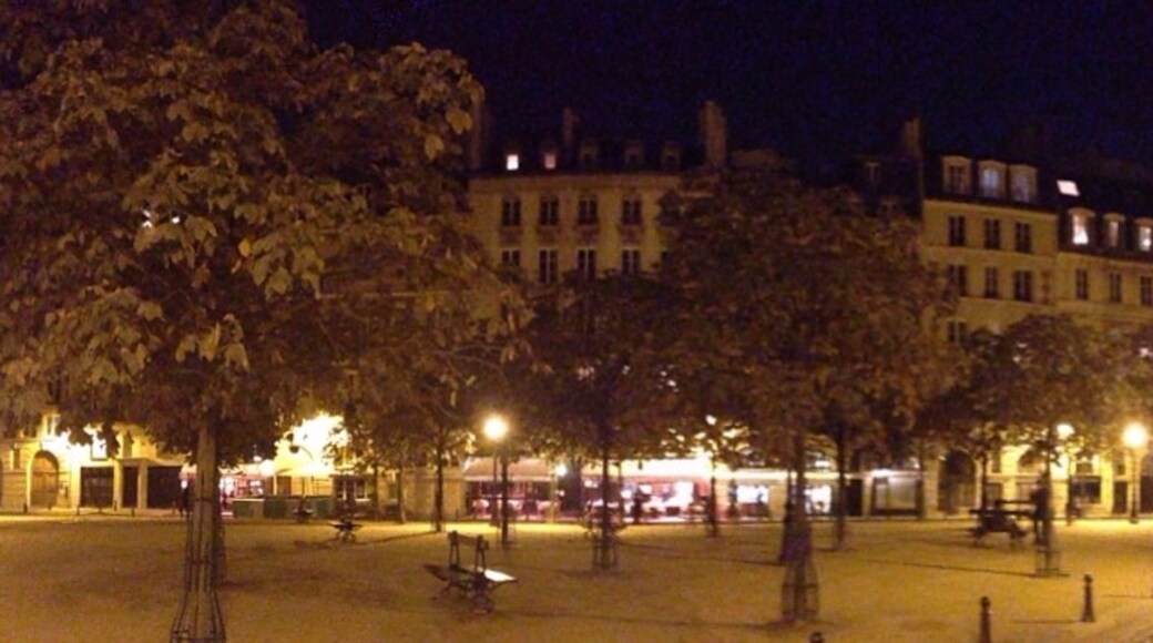 太子廣場, 巴黎, 法國