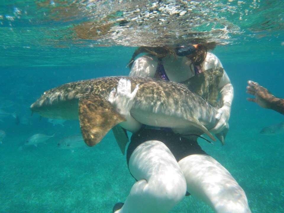 Awesome day snorkeling four sites. Who knew I'd be bear hugging a nerf shark that day! 