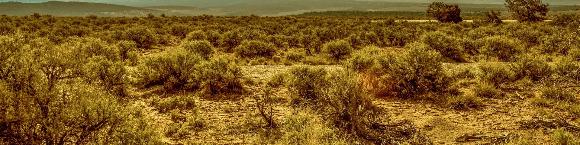 In the high plans of New Mexico is the Wild Rivers Recreation Area. It's BLM land with several camping sites and lots of great hiking. There are plenty of wide open spaces and also a canyon where The Rio Grande and Red Rivers join. #newmexico #wildrivers #blm #camping #hiking #riogrande #redriver